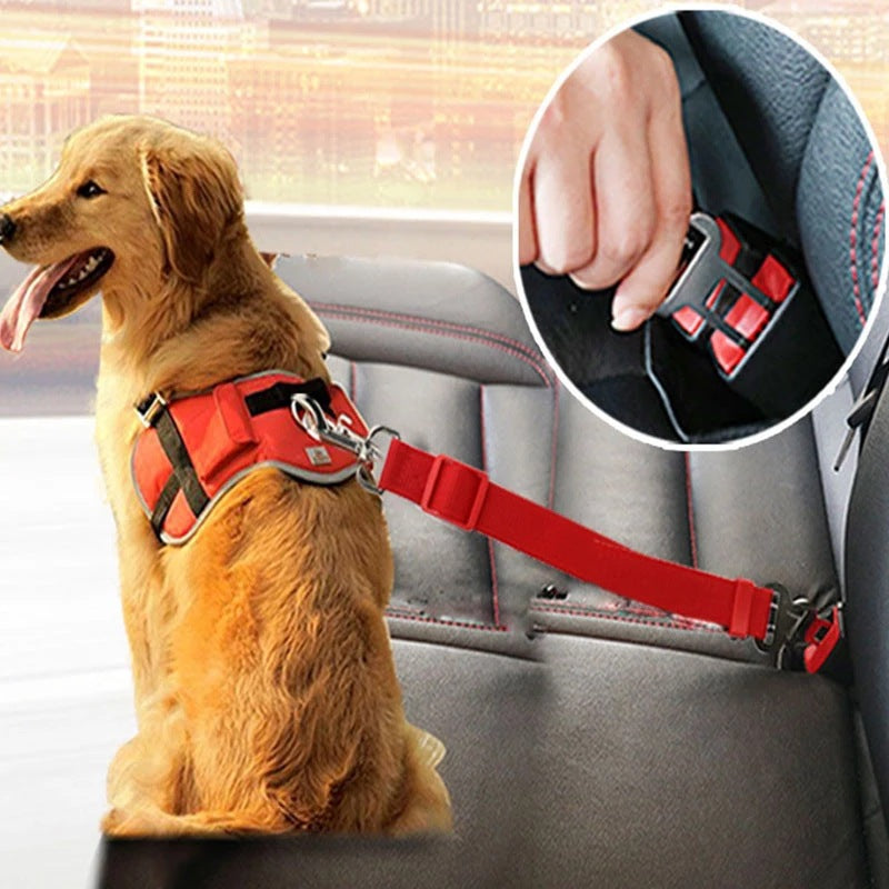Sangles de retenue pour chien et chat sur banquette de voiture