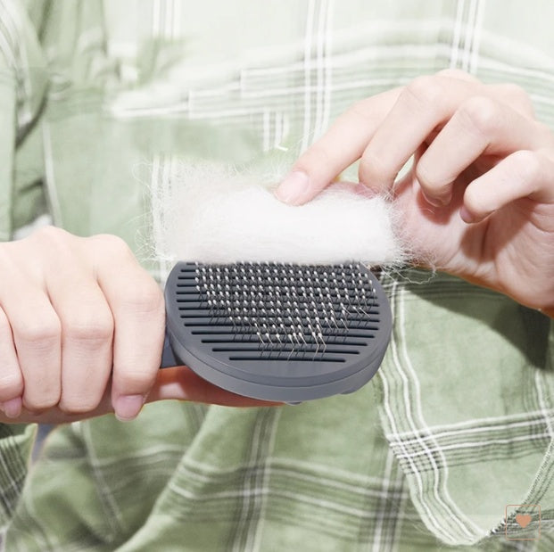 Brosse autonettoyante pour entretien du pelage