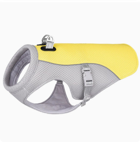 Veste rafraîchissante chien pour sorties et promenades d'été