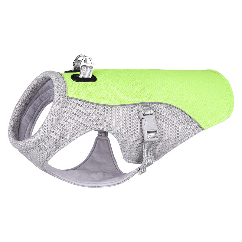 Gilet rafraîchissant chien vert pour promenade estivale