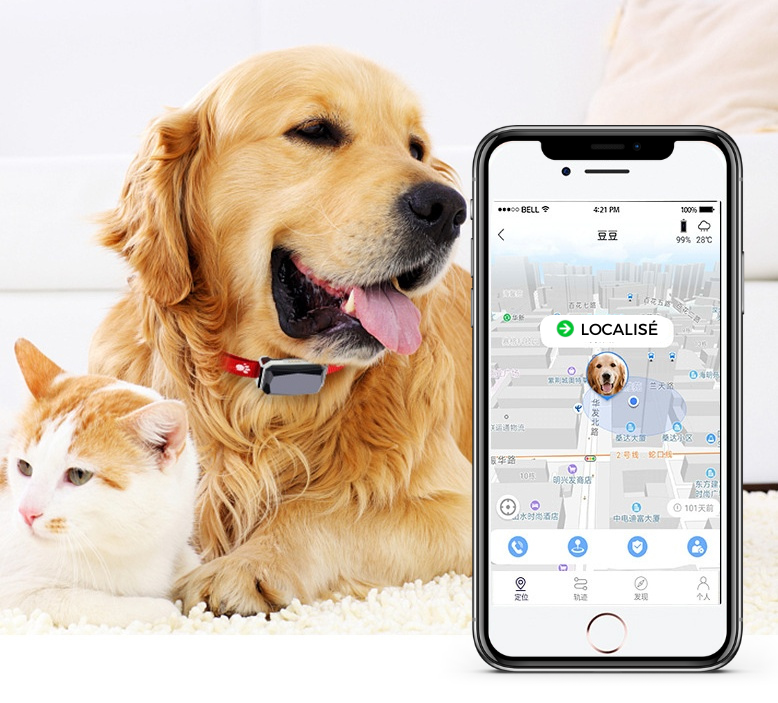 Collier GPS Chien & Chat Connecté | PawConnect