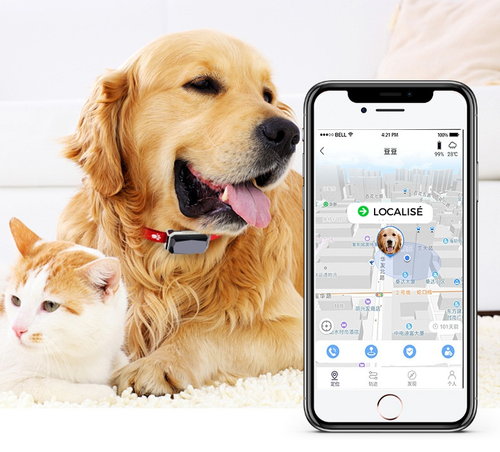 Collier GPS Chien & Chat Connecté | PawConnect